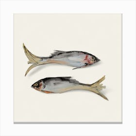 Neutral Fish Canvas Print