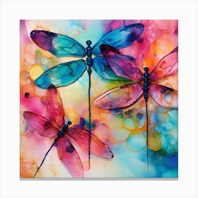 Dragonflies 26 Canvas Print