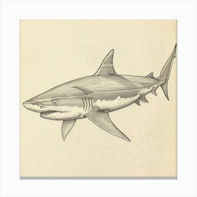 Carpet Shark Vintage Illustration 4 Canvas Print