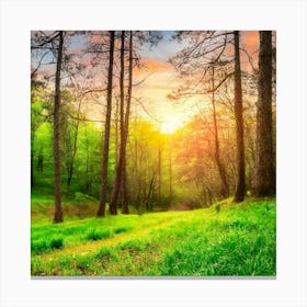 Firefly Sunset In A Beautiful Forest With Green Grass 97288 Canvas Print