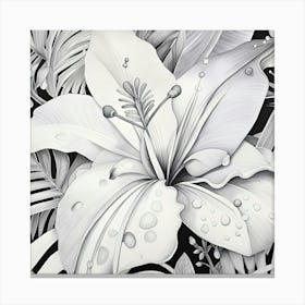 Lily Of The Valley Monochromatic Canvas Print