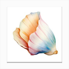 Seashell 1 Canvas Print