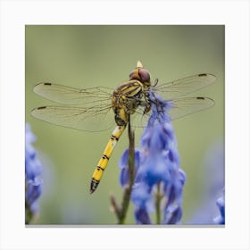 Dragonfly On Bluebells Canvas Print