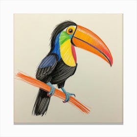 Toucan 72 Canvas Print