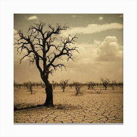 Dry Tree In The Desert 2 Canvas Print