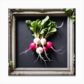 Radishes 23 Canvas Print