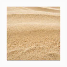 Sand Dunes 10 Canvas Print