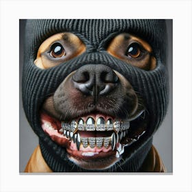 Dog With Braces Canvas Print