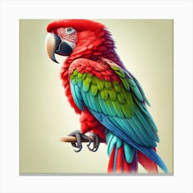 Parrot 5 Canvas Print