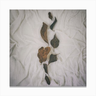 Earthy Vintage Leaves Square Canvas Print