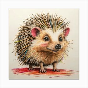 Hedgehog 50 Canvas Print