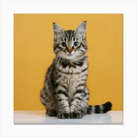 Portrait Of A Kitten Canvas Print