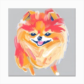 Pomeranian 01 Canvas Print