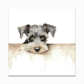 Schnauzer 23 Canvas Print