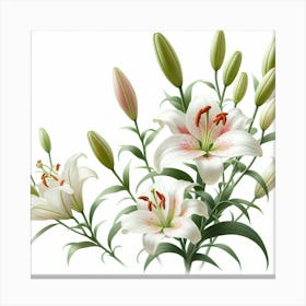 Lilies Canvas Print