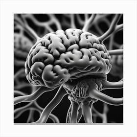 Brain And Nerves 1 Canvas Print