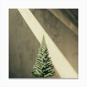 Christmas Tree In A Room Canvas Print