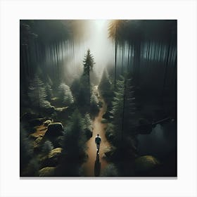 An Aerial View Of Someone Walking Through A Forest Alone In The Style Of Romanticism 6 Toile