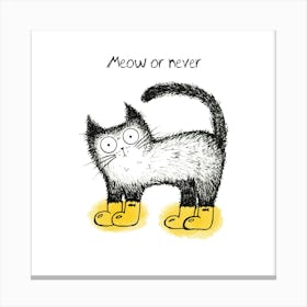 Meow Or Never Canvas Print