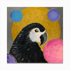 Parrot Canvas Print