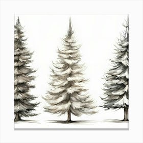 Three Snowy Pine Trees 1 Canvas Print