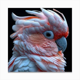 Cockatoo 14 Canvas Print