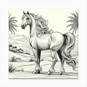 Line Art Arabian stallion Canvas Print