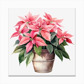 Poinsettia 5 Canvas Print