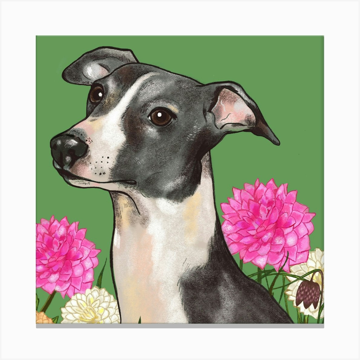 Whippet In Flowers Canvas Print by Lorna Leigh