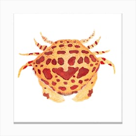 Crab Watercolor 1 Canvas Print