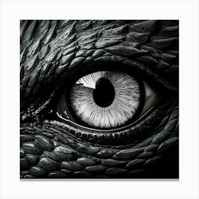 Firefly Black, Dragon, Closeup, Eye, Light, Grey, Blue, Macro, Noir, Black And White, Detailed, Text (8) Canvas Print