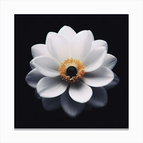 White Lotus Flower Canvas Print