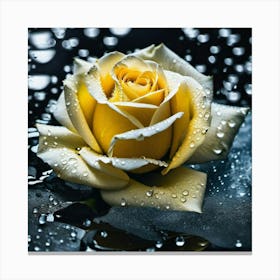 Yellow Rose With Water Droplets Canvas Print