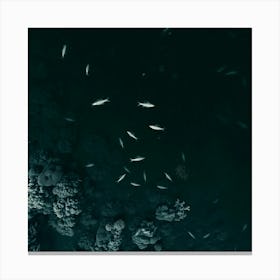 Fishes In The Sea 4 Canvas Print