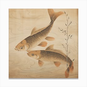 Fish living In The Song Dynasty Canvas Print
