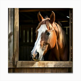 Head Purebred Equestrian Beauty Window Horse Shed Rural Farm Photo Horizontal Mare Hobby (4) Canvas Print