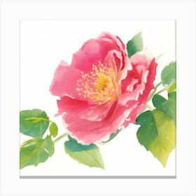 Wild Rose Painted In Watercolor Canvas Print