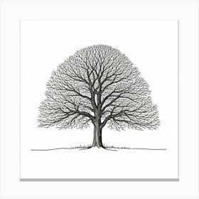 Bare Tree Canvas Print