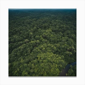 Ecuador Rainforest Canvas Print