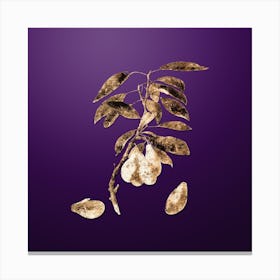 Gold Botanical Plum on Royal Purple n.3353 Canvas Print