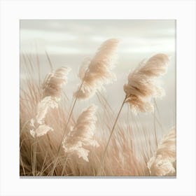 Pampas Grass With Horizon View Canvas Print