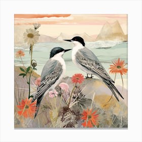 Bird In Nature Common Tern 1 Canvas Print