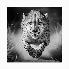 Speeding Cheetah Black And White Toile