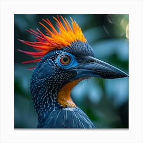 Horned Woodpecker Canvas Print