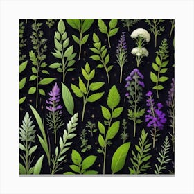 Collection Of Herbs 1 Canvas Print