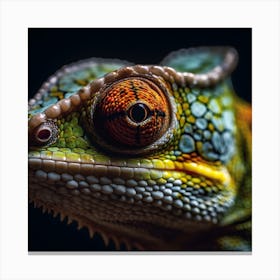 Animal 10 (1) Canvas Print