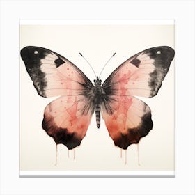 Butterfly 08 Canvas Print