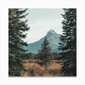 Rocky Mountain Range Canvas Print