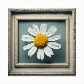 Frame Created From Chamomile On Edges And Nothing In Middle Haze Ultra Detailed Film Photography (3) Canvas Print