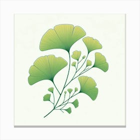 Tropical leaves of ginkgo biloba, Vector art 1 Canvas Print